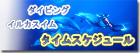 タイムスケジュール